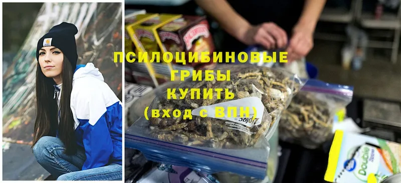 где купить наркоту  Благовещенск  Псилоцибиновые грибы MAGIC MUSHROOMS 